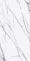 TAGINA Lilac Luc 60x120