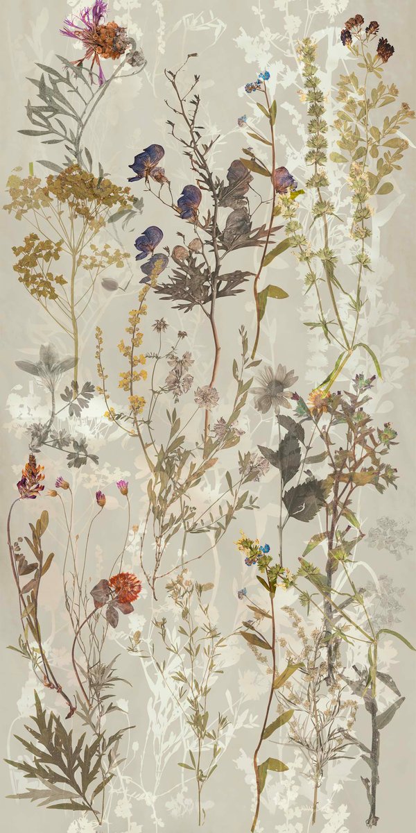 ENERGIEKER Wallart Rett Jamie 60x120