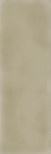 TAGINA City Stone Listello Senape 5x15