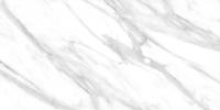 CALACATTA GREY керамогранит матовый 120x60 см 1015M