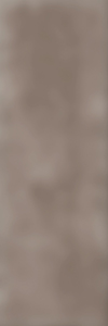 TAGINA City Stone Listello Mattone 5x15