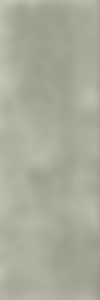 TAGINA City Stone Listello Salvia 5x15