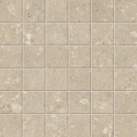 ATLAS CONCORDE Rinascente Fusion Rin Agglom Light Mosaic 30x30