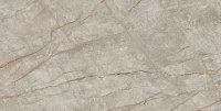 Atlas Concorde Empire Silver Root Rett Lapp 60x120