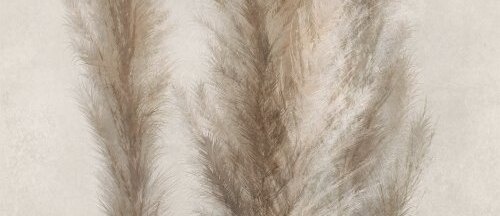 CAESAR Deco Solutio Pampa Faccia 120x278 AGUJ