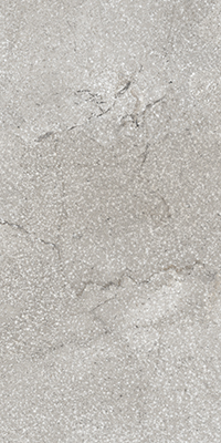 TAGINA Pierre D'avignon Gris 20x40