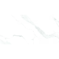 Керамогранит Maimoon Ceramica (Маймун Керамика) Matt Carrara White 120х60 см