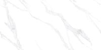 Керамогранит Absolut Gres (Абсолют Грес) Carrara Bianco полированный премиум 120x60 см, AB3116G