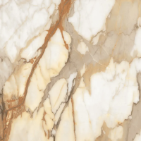 Керамогранит Absolut Gres (Абсолют Грес) Borgini Gold полированный 60x60 см, AB1059G