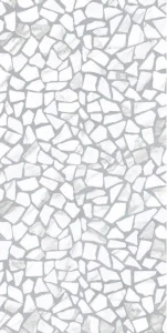 ARCADIA CERAMICA Arcadia 60х120 60x120 FP9010-A