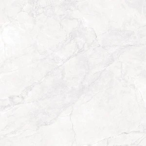 ARCADIA CERAMICA Arctic White Carving 60x60 CR6008-A
