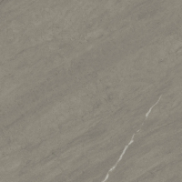 Atlas Concorde Forte Dei Marmi Rock Ven. Grey Rett 120x120