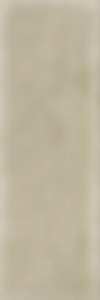 TAGINA City Stone Listello Senape 5x15