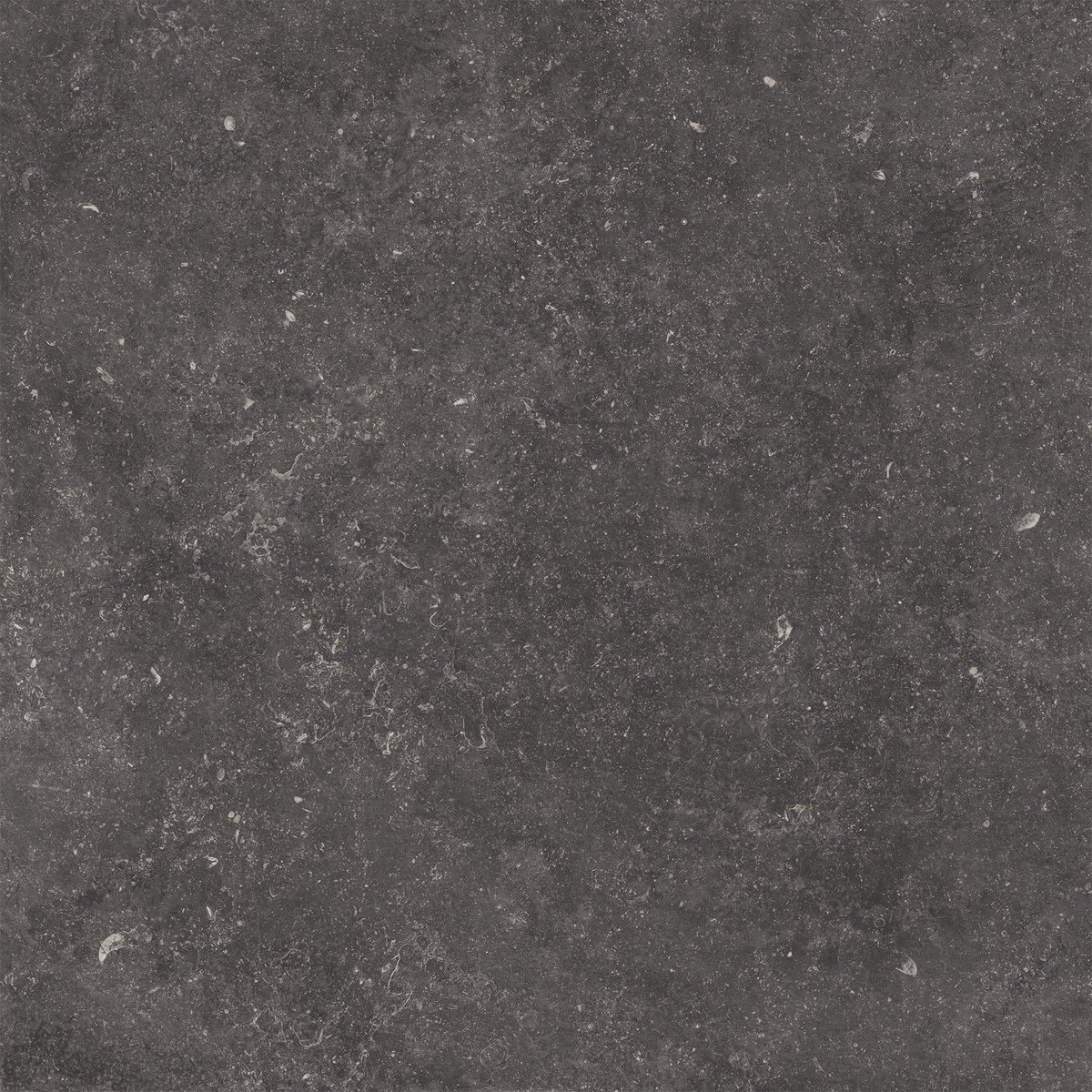 TAGINA Namur Fonce 60x60 136053