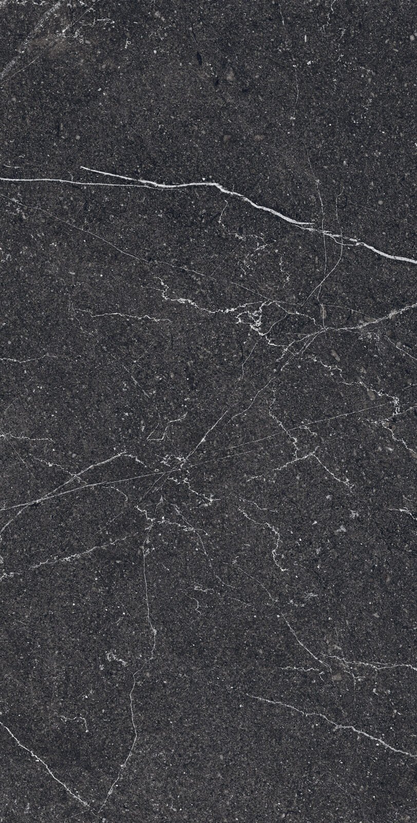 Керамогранит Arcadia Ceramica Аркадия коллекция EQUISTONE