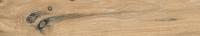 Керамогранит Absolut Gres (Абсолют Грес) Wildwood Beige матовый 120x20 см, AB1162W