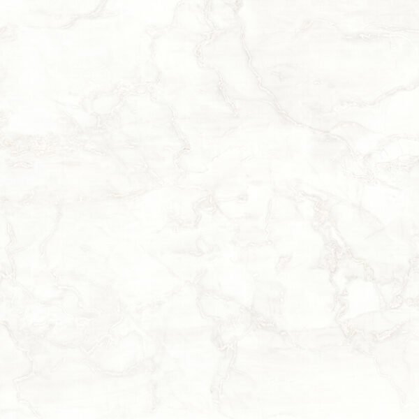 TAGINA Mystery Ang Coprispig White Lux 0.8x120