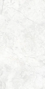 ARCADIA CERAMICA Marcus 60x120 RT7015-A