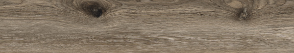 Керамогранит Absolut Gres (Абсолют Грес) Wildwood Nero матовый 120x20 см, AB1134W
