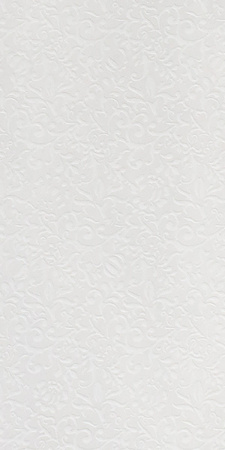 GIGACER Light Curtain 30x60