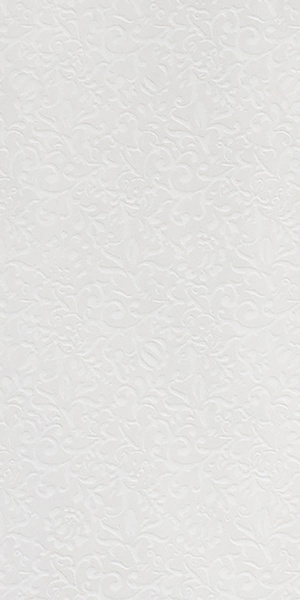 GIGACER Light Curtain 30x60