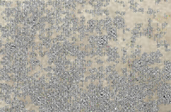 CIR In Falda Perlato Sicilia 40x60.8 1073292