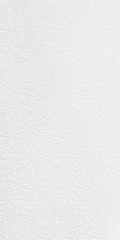 GIGACER Light Curtain 30x60