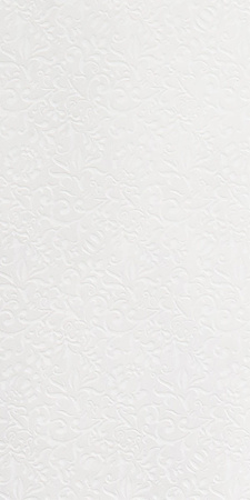 GIGACER Light Curtain 30x60