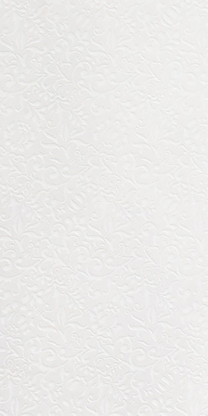 GIGACER Light Curtain 30x60