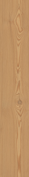 TAGINA Montalcino Larice Miele 20x120