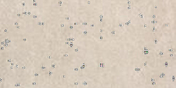 CIR Materia Prima Jewel 10x20