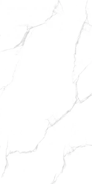 Керамогранит Maimoon Ceramica Maimoon Silver satuario 120х60 см