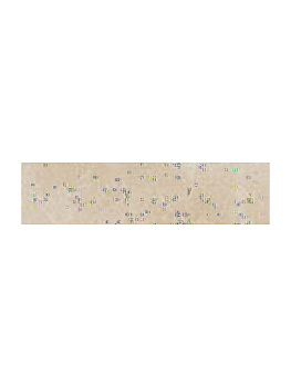CIR Contrada Valente Elem Trani 10x40