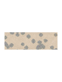 SERENISSIMA Ser 2cm Outdoor Step Tor Sabbia 33x100