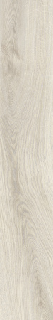 TAGINA Evoque Korina Naturale Ret. 20x120