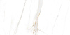 Керамогранит Absolut Gres (Абсолют Грес) Regal Carrara полированный 60х120 см, AB1144G
