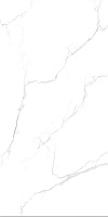 Progress UNICO WHITE керамогранит полированный 60х120 см PRO 001-1