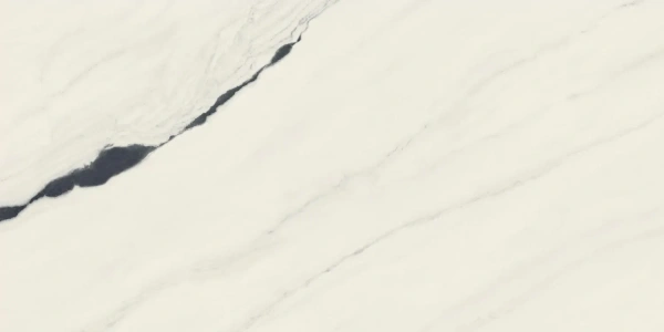 ATLAS CONCORDE Forte Dei Marmi Fdm Panda White Rett Cer 60x120
