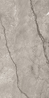 One Touch Wild Forest Grey (60x120)