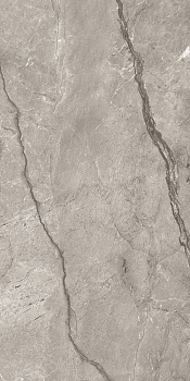 One Touch Wild Forest Grey (60x120)