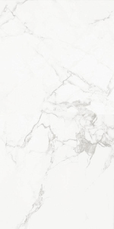 Progress CARRARA CLASSIC  керамогранит полированный 120x60 см  AB 1112G