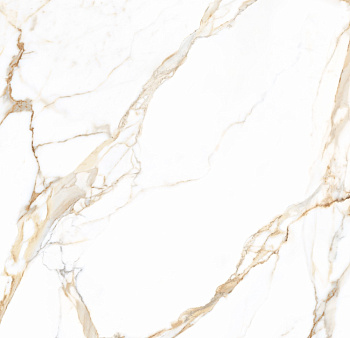 TAGINA Calacatta Gold Luc 120x120