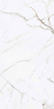 NAXOS Rhapsody Emotion Rhaps 60x120