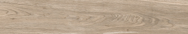Керамогранит Absolut Gres (Абсолют Грес) Wildwood Grey матовый 120x20 см, AB1120W