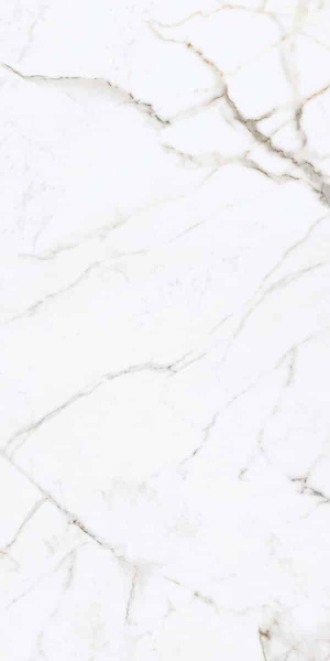 NAXOS Rhapsody Emotion Rhaps 60x120