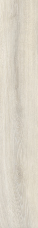 TAGINA Evoque Korina Naturale Ret. 20x120