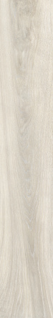 TAGINA Evoque Korina Naturale Ret. 20x120