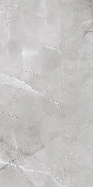 ARMANI SILVER  керамогранит полированный 120x60 см  1142G