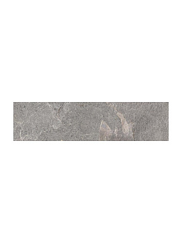 ENERGIEKER Genesis Monoli Gene Ash 10x40