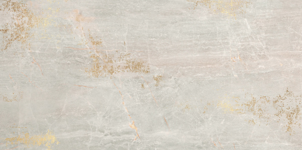 SERENISSIMA Fossil Ins Gold Perla Lux 60x120